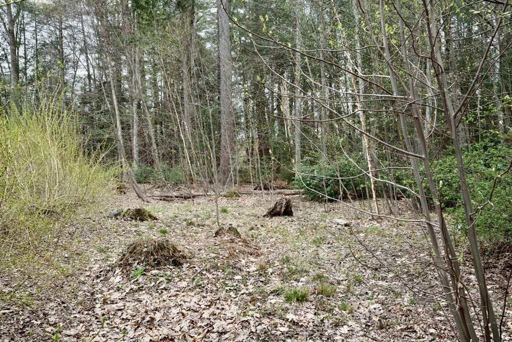 91 Main Road Westhampton, MA 01027 - Photo 34 of 35 a view of backyard with trees