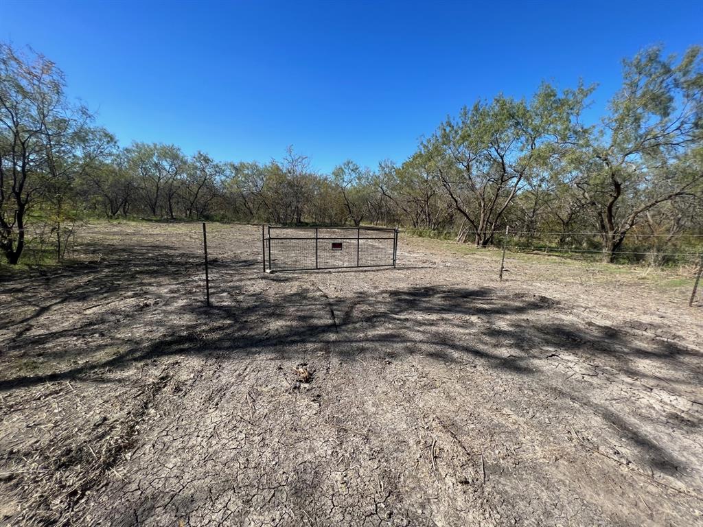 a view of dirt yard with a large tree