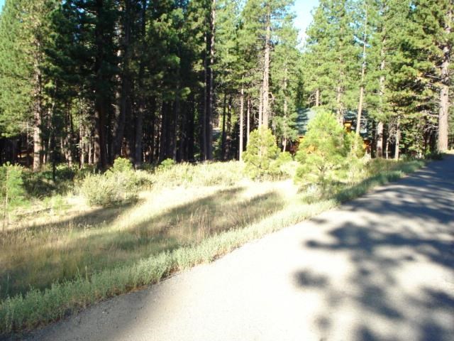 405 Main Street Calpine, CA 96124 - Photo 9 of 12 Gallery Image 9