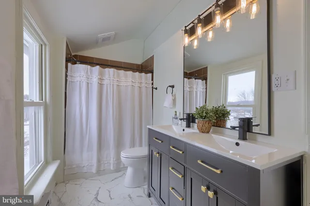 a bathroom with a double vanity sink mirror and toilet