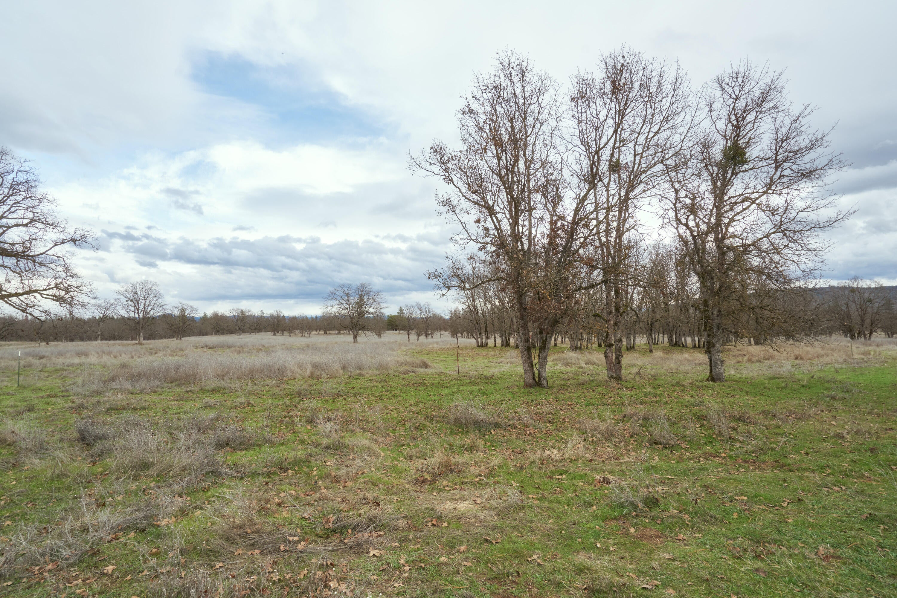 13794 Perry Road White City, OR 97503 - Photo 39 of 45 13974 Perry Rd_38