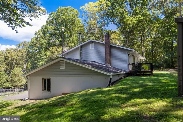 a backyard of a house with plants and large tree