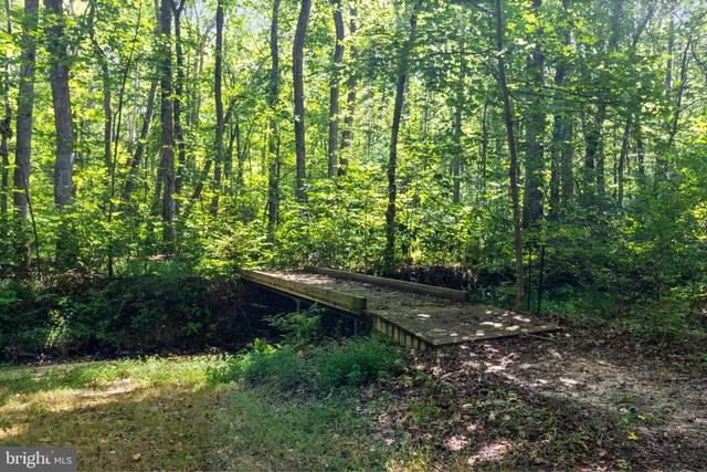 a view of outdoor space and garden