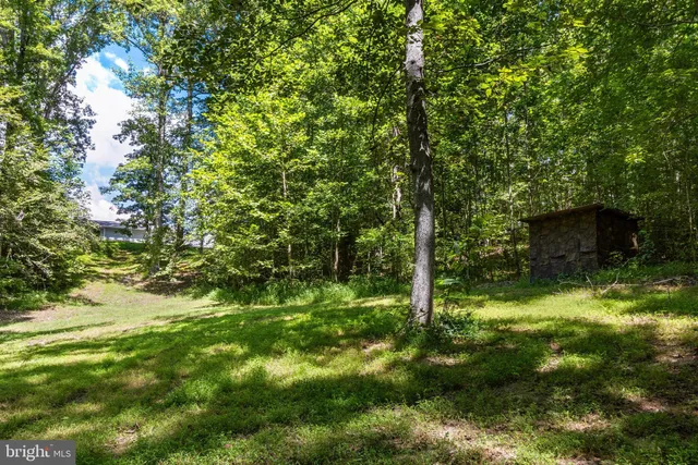 a backyard of a house with a tree