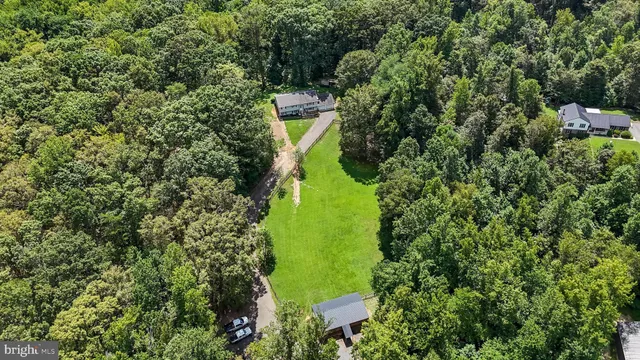 a green field with trees in the background