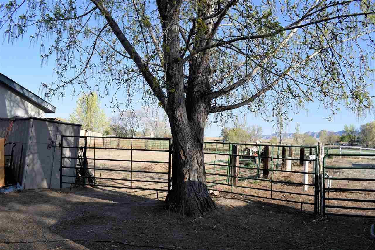 3136 F F 1/2 Road Grand Junction, CO 81504 - Photo 28 of 34 Gallery Image 28