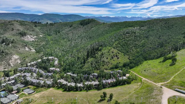 a view of a big yard with potted plants and large trees