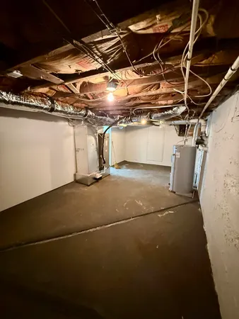 a view of tree covered with tall trees