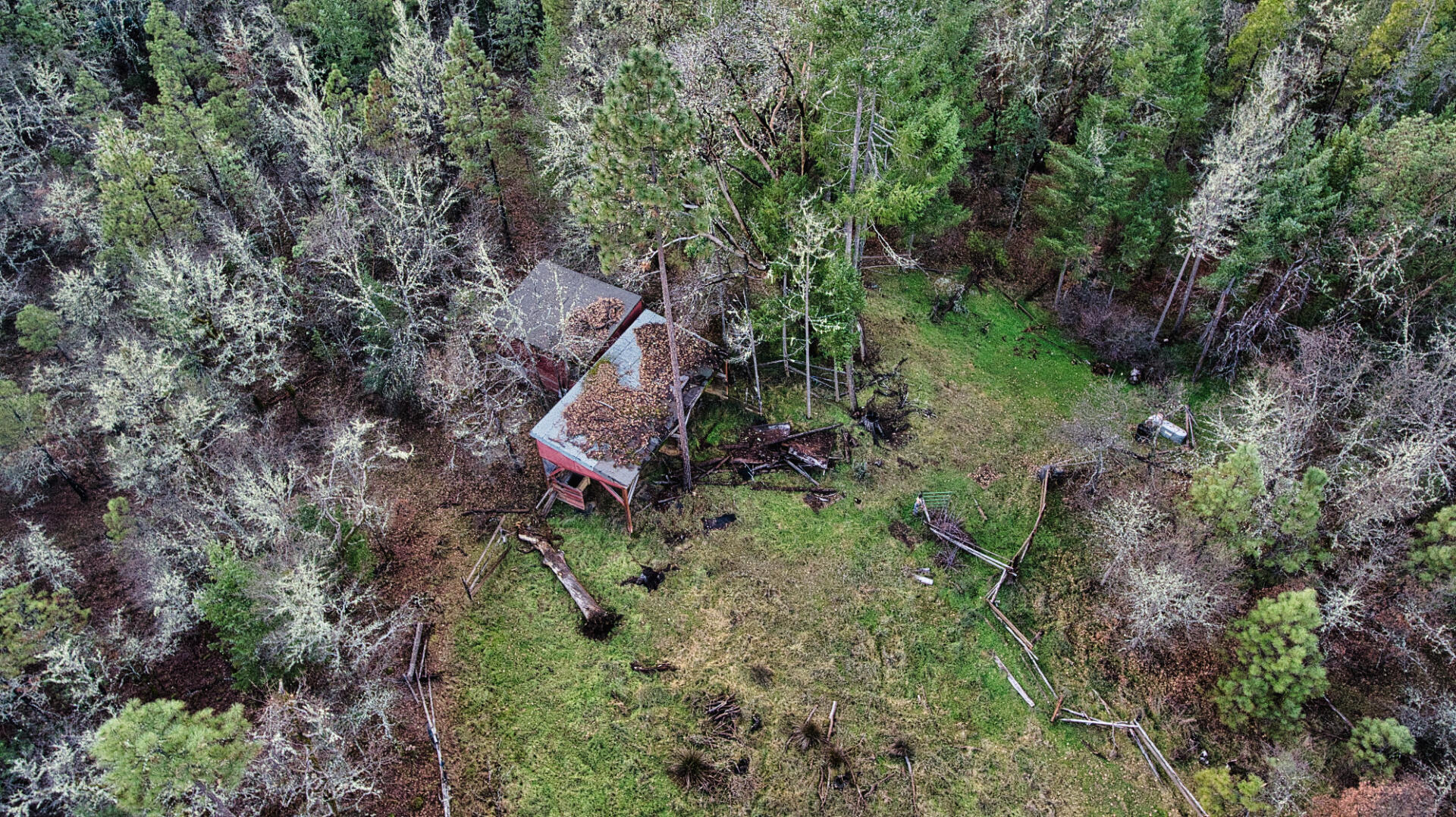 6181 Takilma Road Cave Junction, OR 97523 - Photo 4 of 10 6181 3