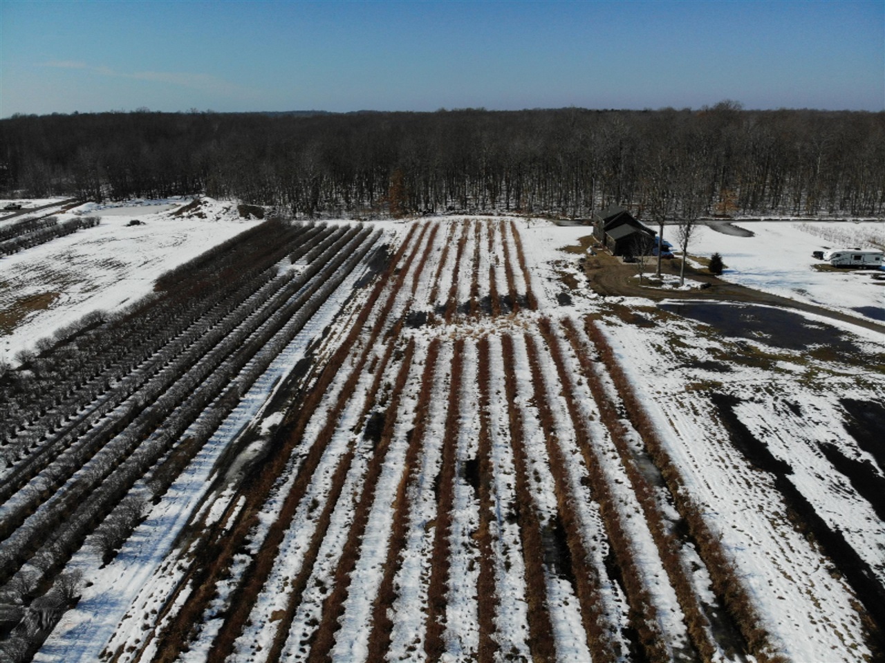 Vl Paw Paw Lake Road Covert, MI 49043 - Photo 4 of 31 Gallery Image 4