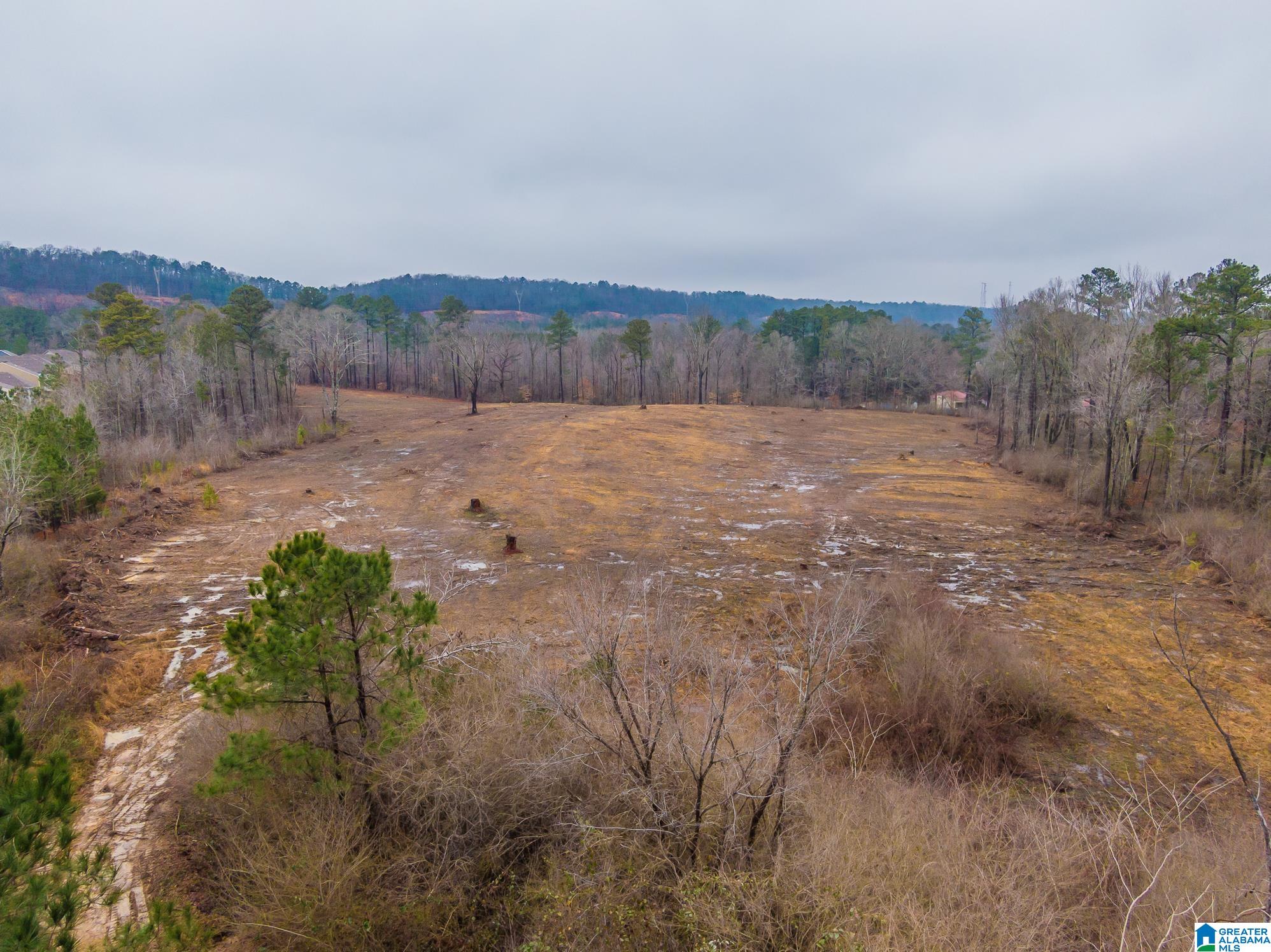 1991 Nixon Road, Unit 1 Bessemer, AL 35022 - Photo 18 of 20