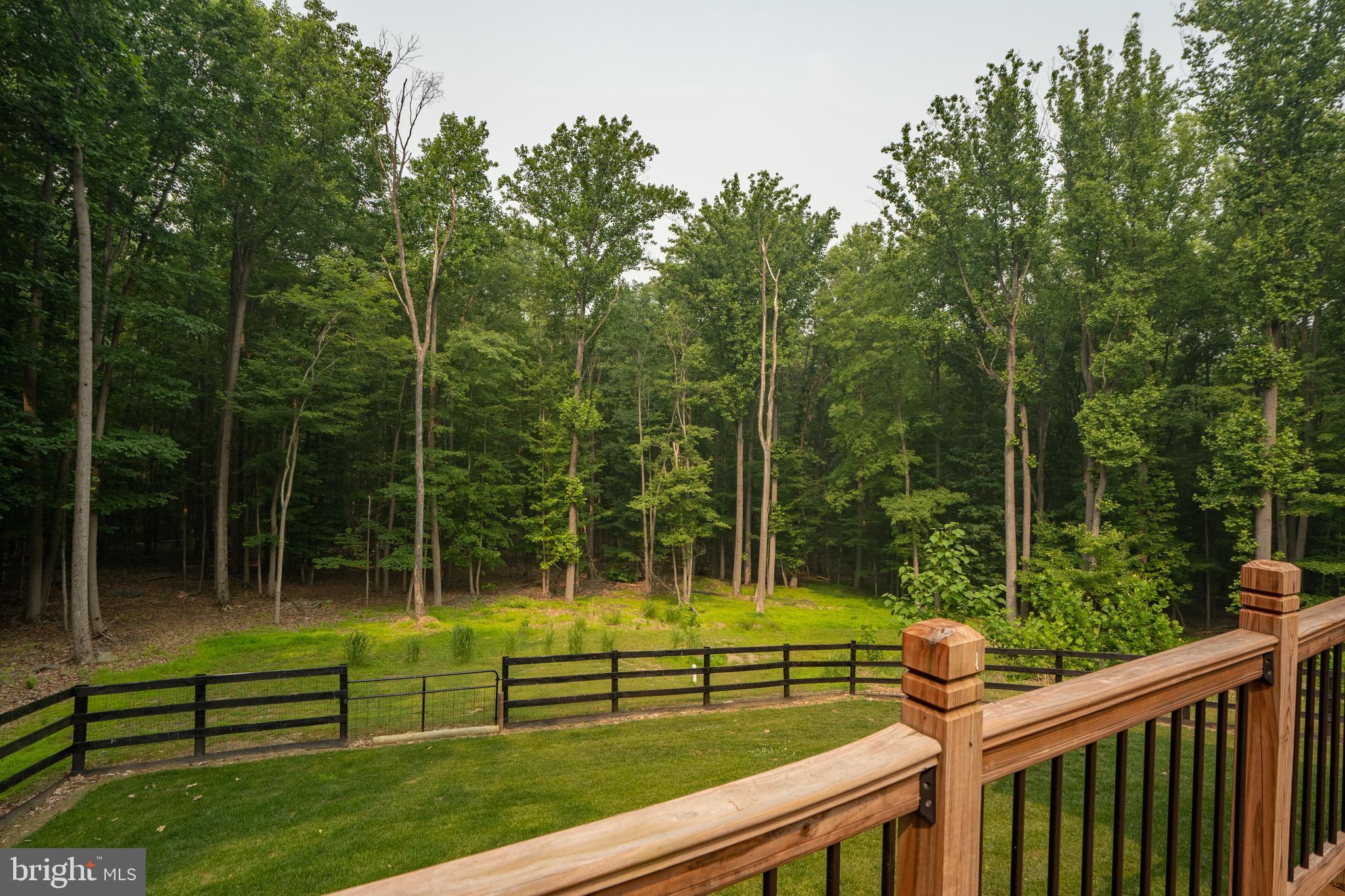 1494 Ebenezer Road Bluemont, VA 20135 - Photo 13 of 64