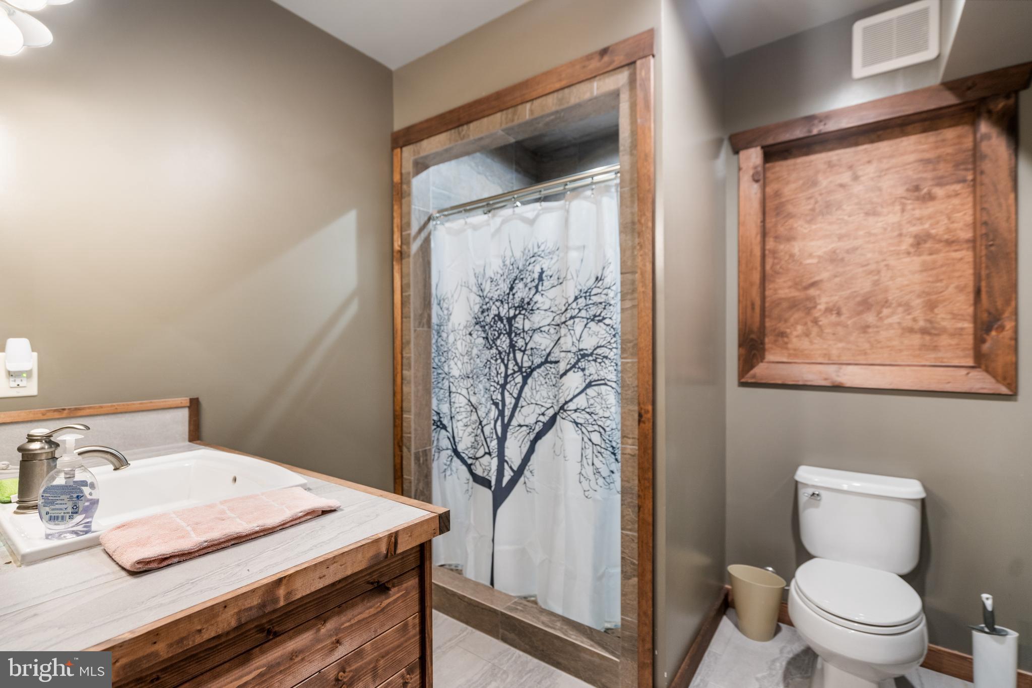 1494 Ebenezer Road Bluemont, VA 20135 - Photo 43 of 64