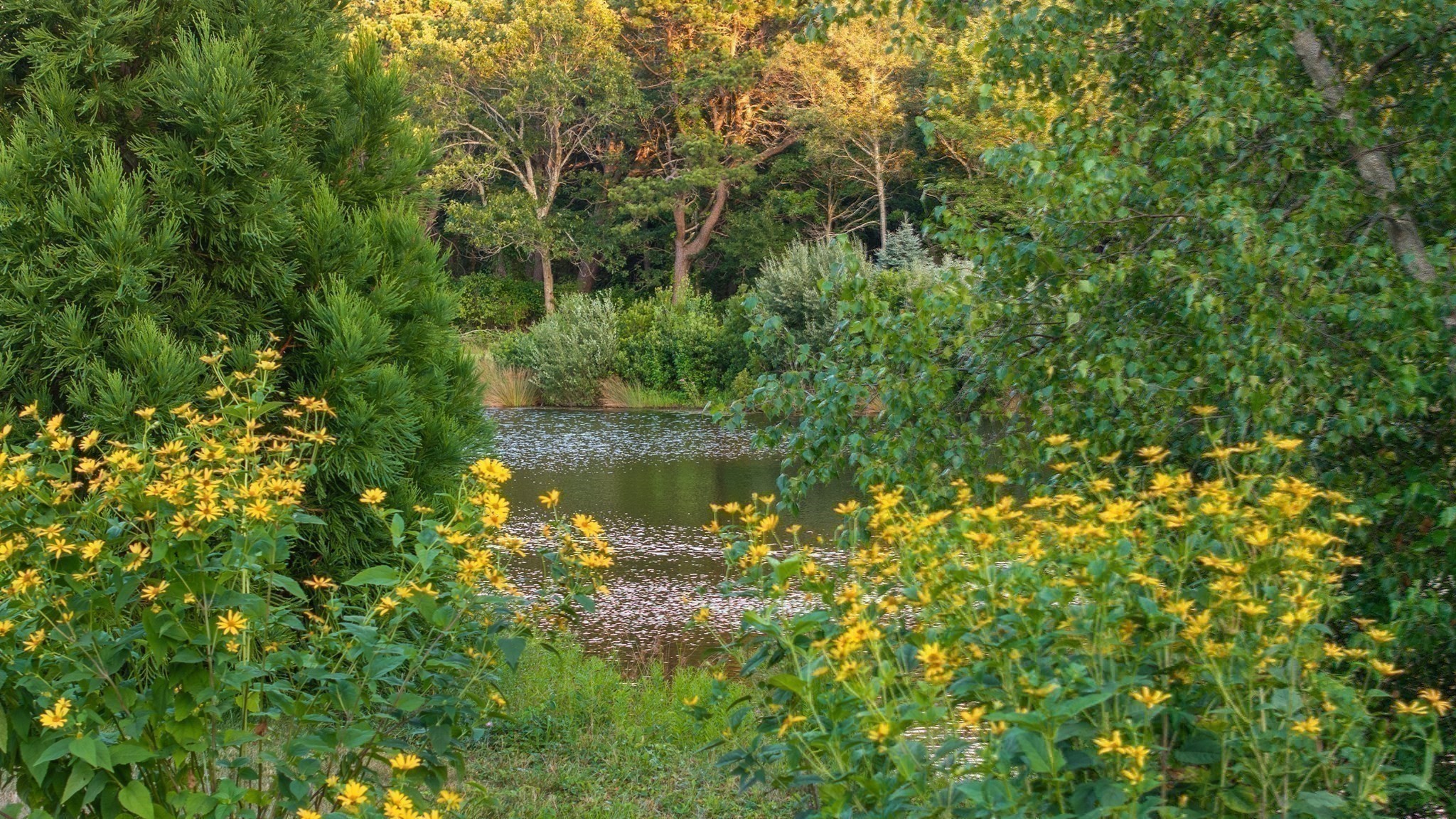 Gallery Image 7