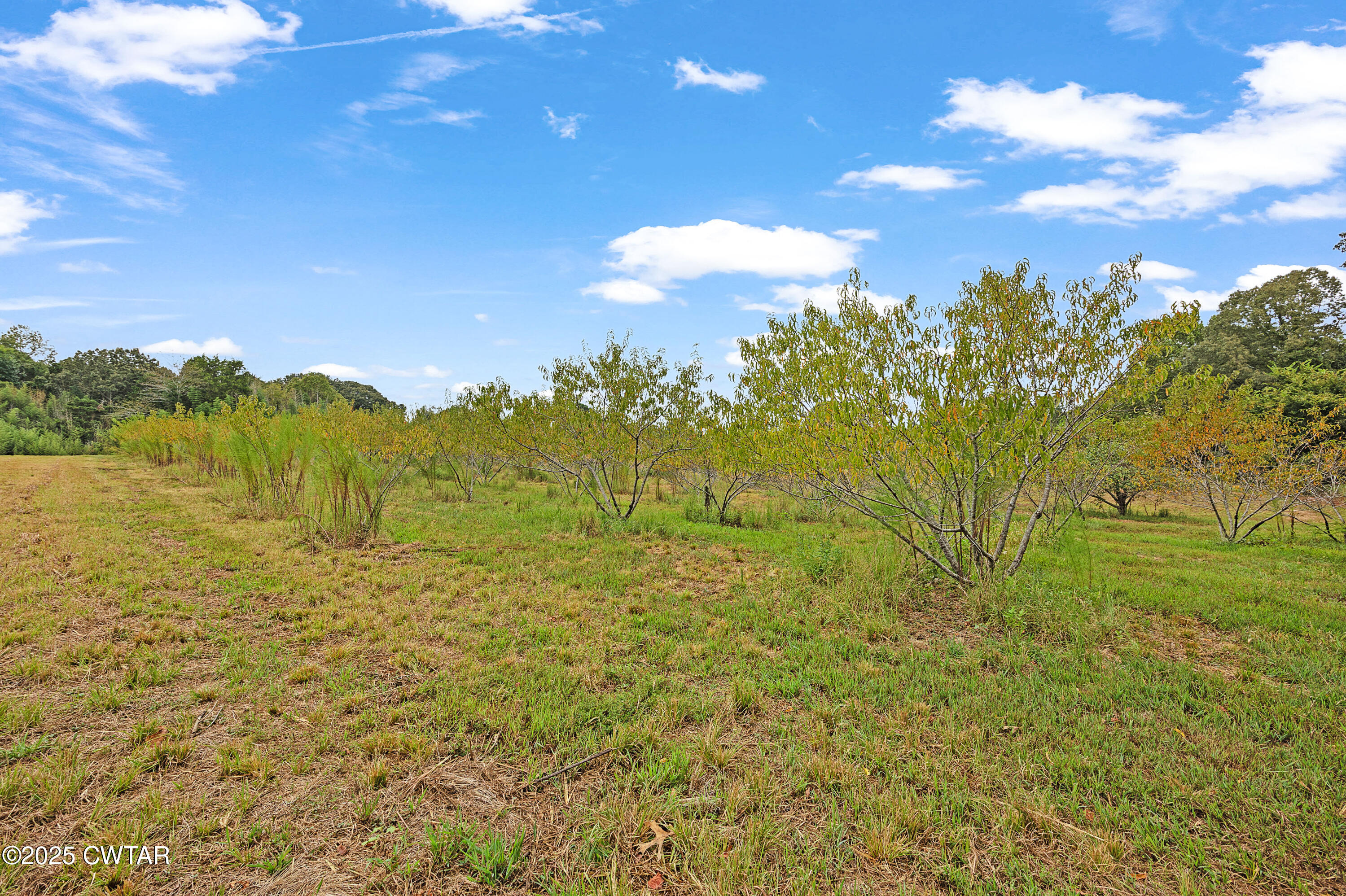 125 Advent Road Bolivar, TN 38008 - Photo 30 of 35 E02A3474