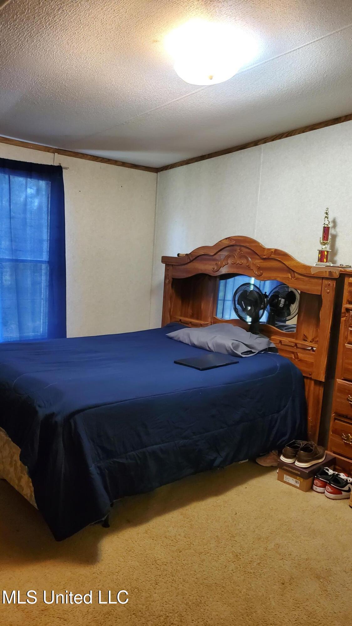 7326 Highway 488 Carthage, MS 39051 - Photo 12 of 12 7326 MS-488 GBR.2