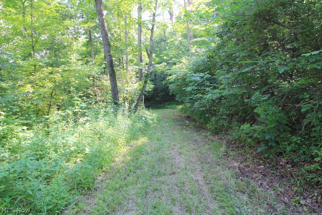 Mollies Rock Road Dresden, OH 43821 - Photo 9 of 30 Gallery Image 9