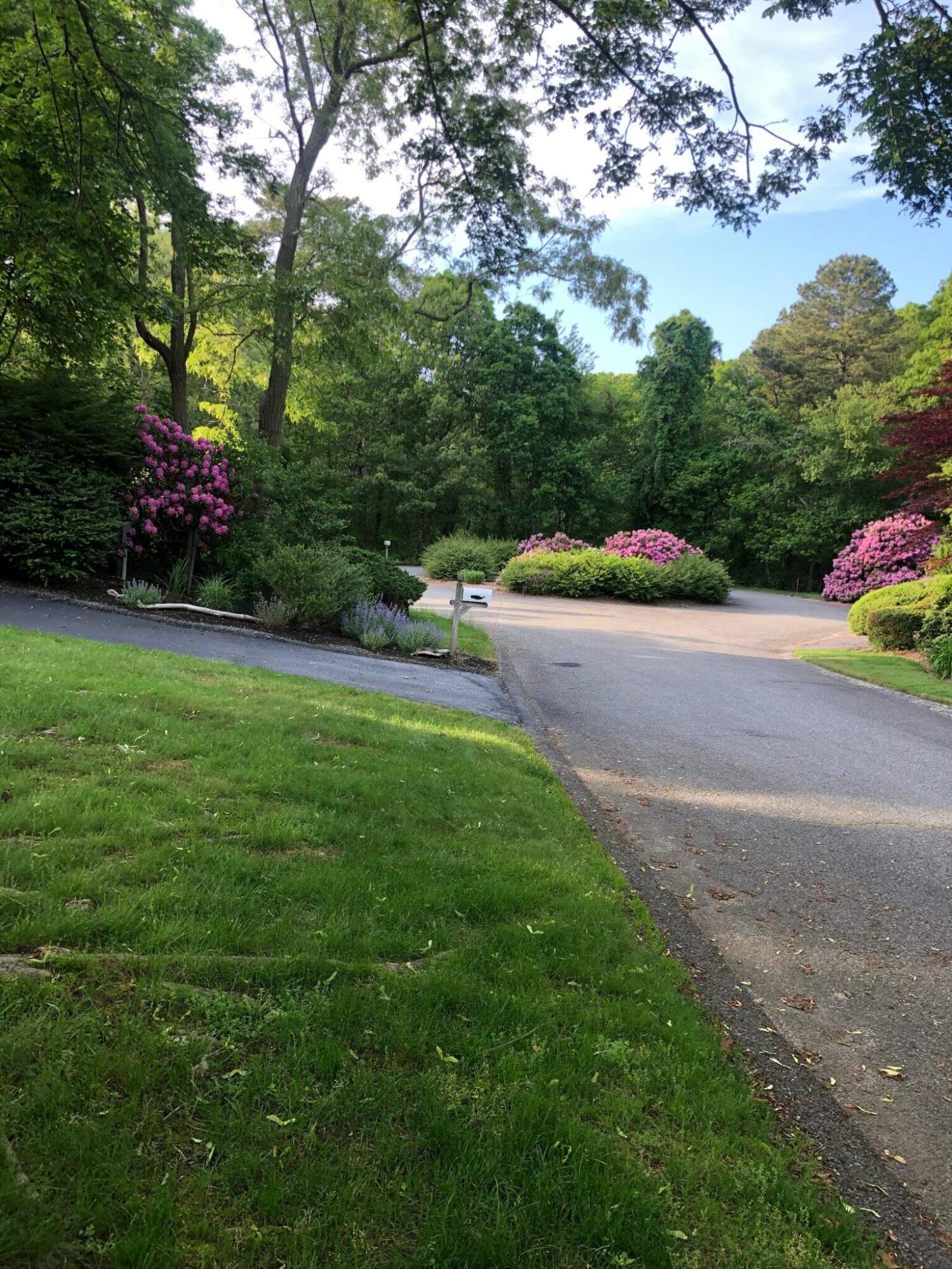 31 Babbling Brook Road Centerville, MA 02632 - Photo 6 of 38 a view of a street with plants and large trees