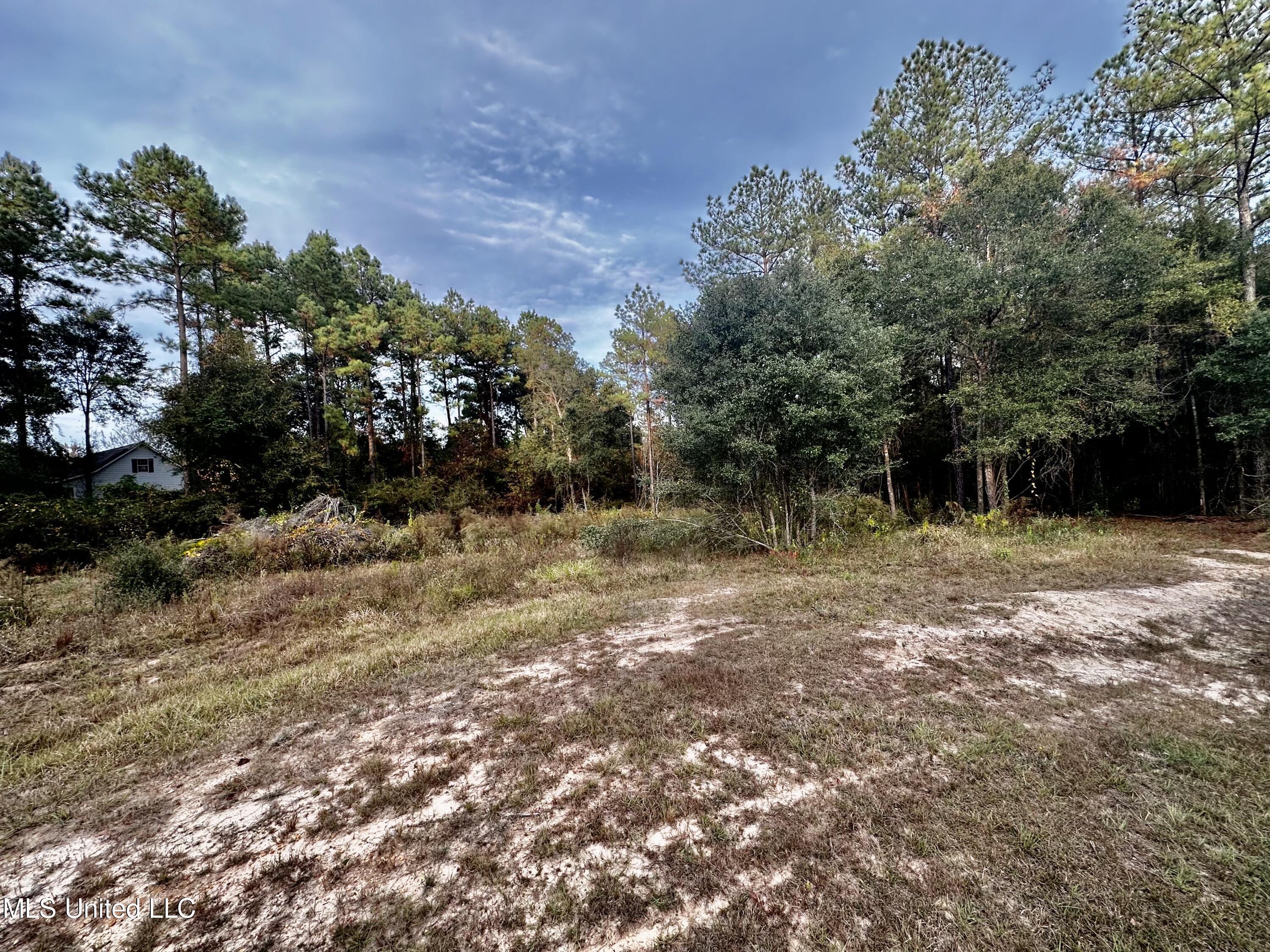 North Creek Road East Lucedale, MS 39452 - Photo 1 of 3 IMG_2872