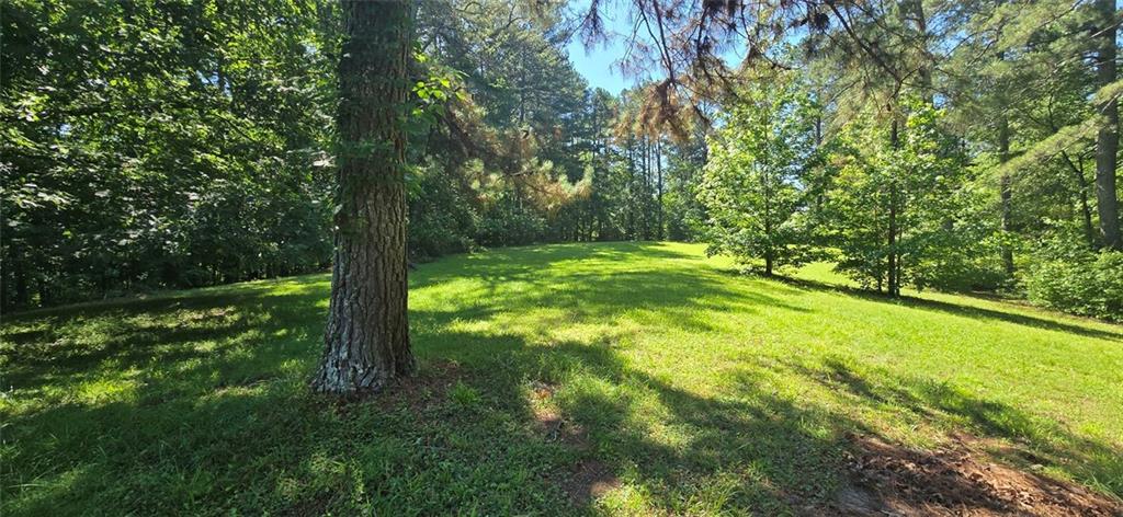 1132 Shoal Creek Road Canton, GA 30114 - Photo 42 of 45