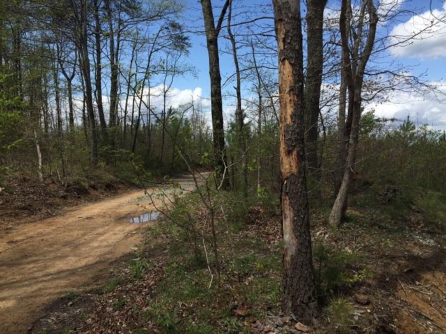 100 Mt Olive Road, Unit 100 Whitwell, TN 37397 - Photo 3 of 13 IMG_7531