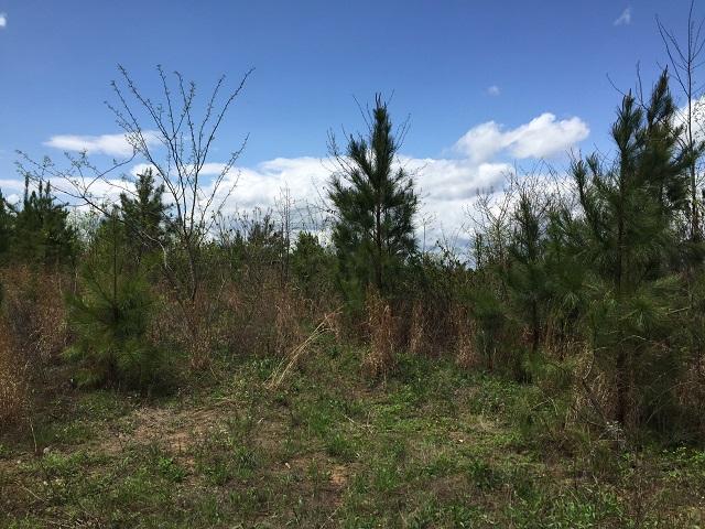 100 Mt Olive Road, Unit 100 Whitwell, TN 37397 - Photo 7 of 13 IMG_7537