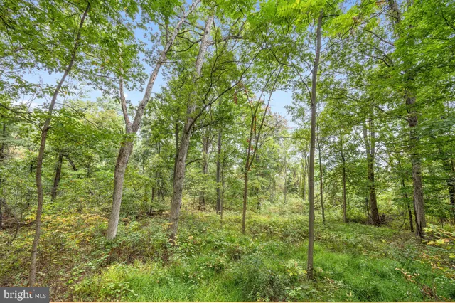 $205,000 | 760 Hilltop Ln Mount, Mount Jackson, VA 22842