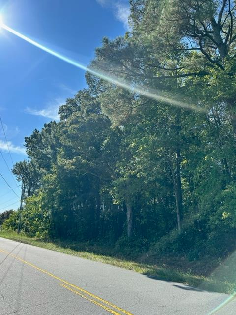 Lot Nocks Nocks Landing Road Atlantic, VA 23303 - Photo 3 of 4