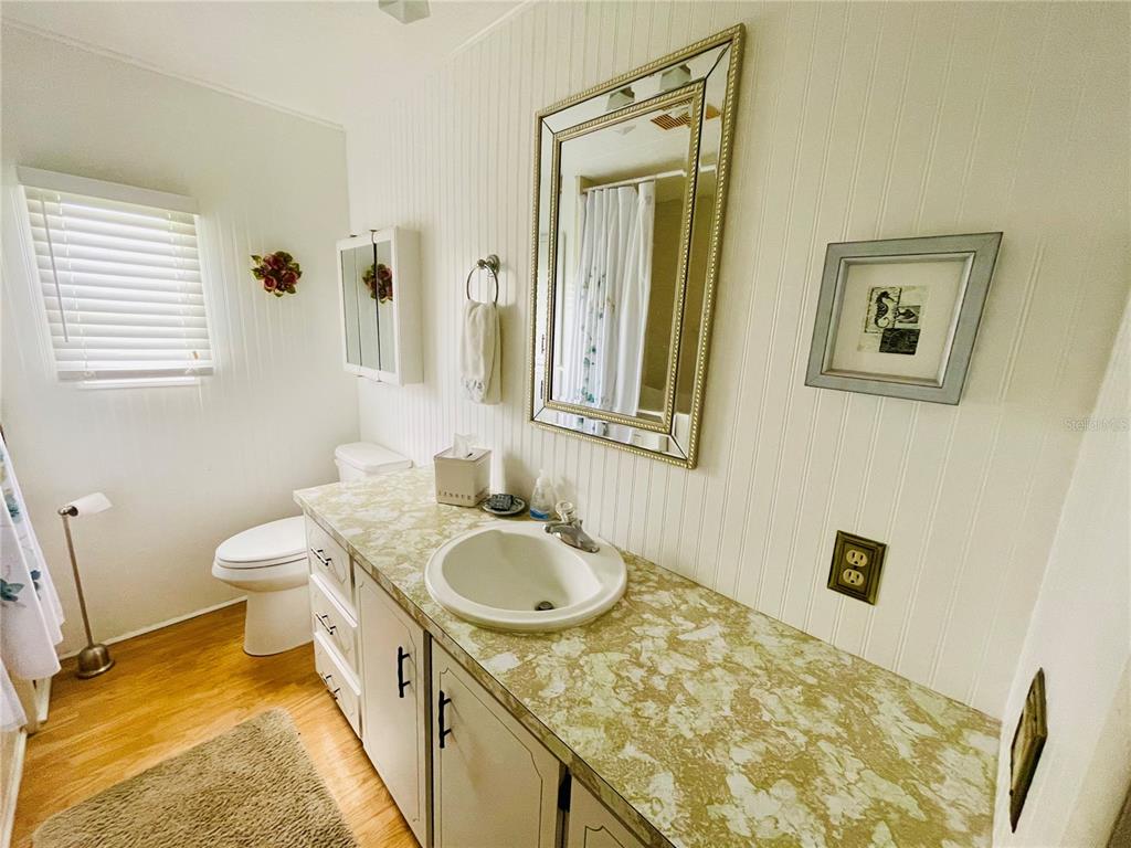 204 Red Maple Drive Palm Harbor, FL 34684 - Photo 15 of 28