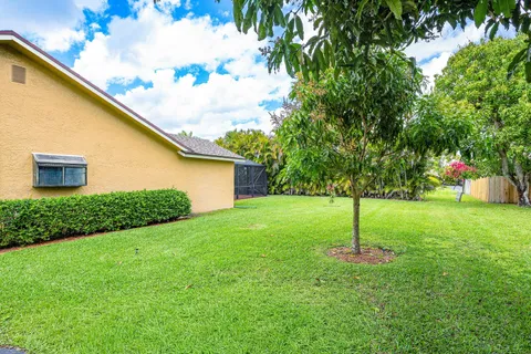 a backyard of a house with plants and large tree