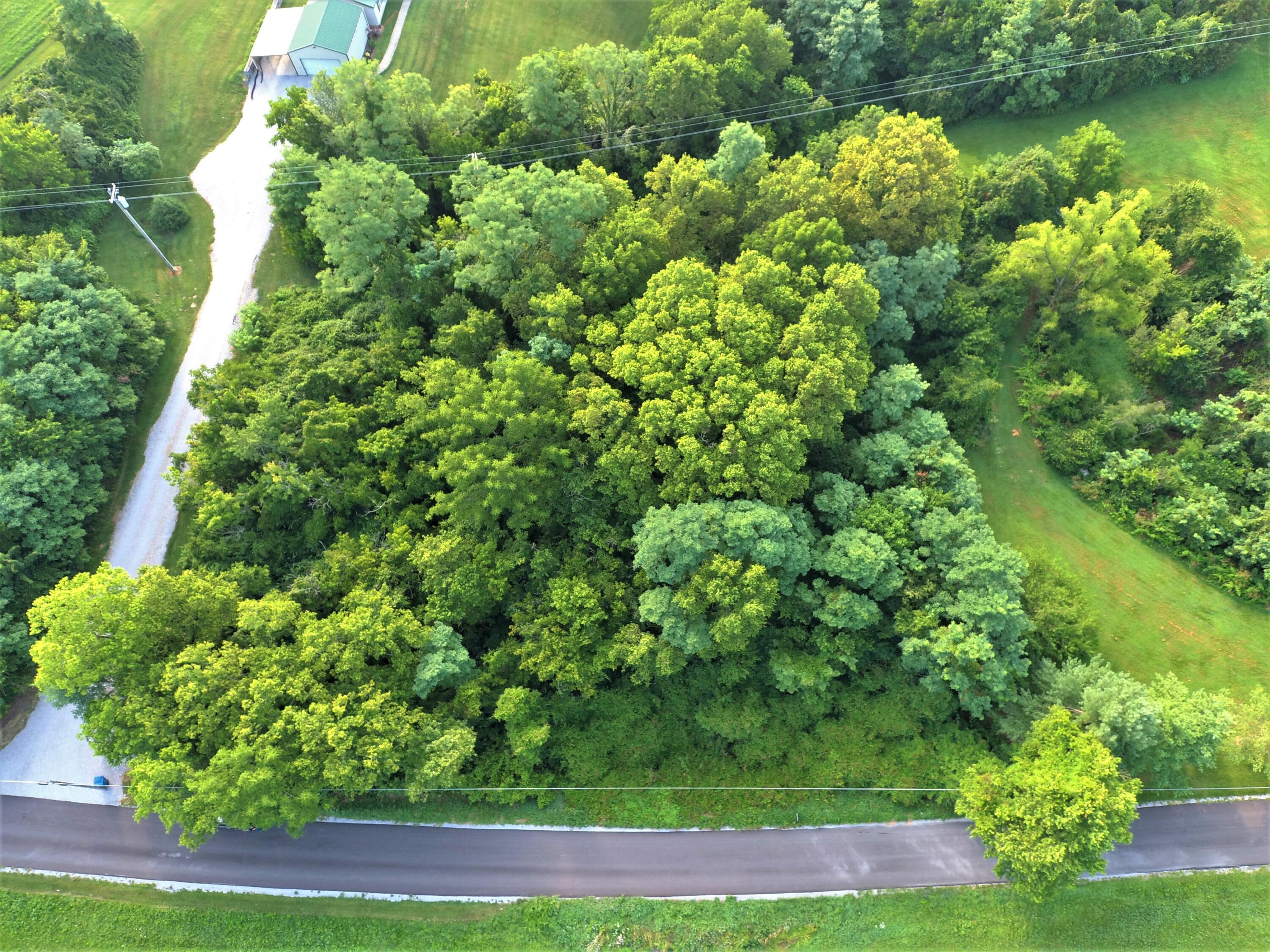 3354 Greenville Road Dry Ridge, KY 41035 - Photo 33 of 33 10