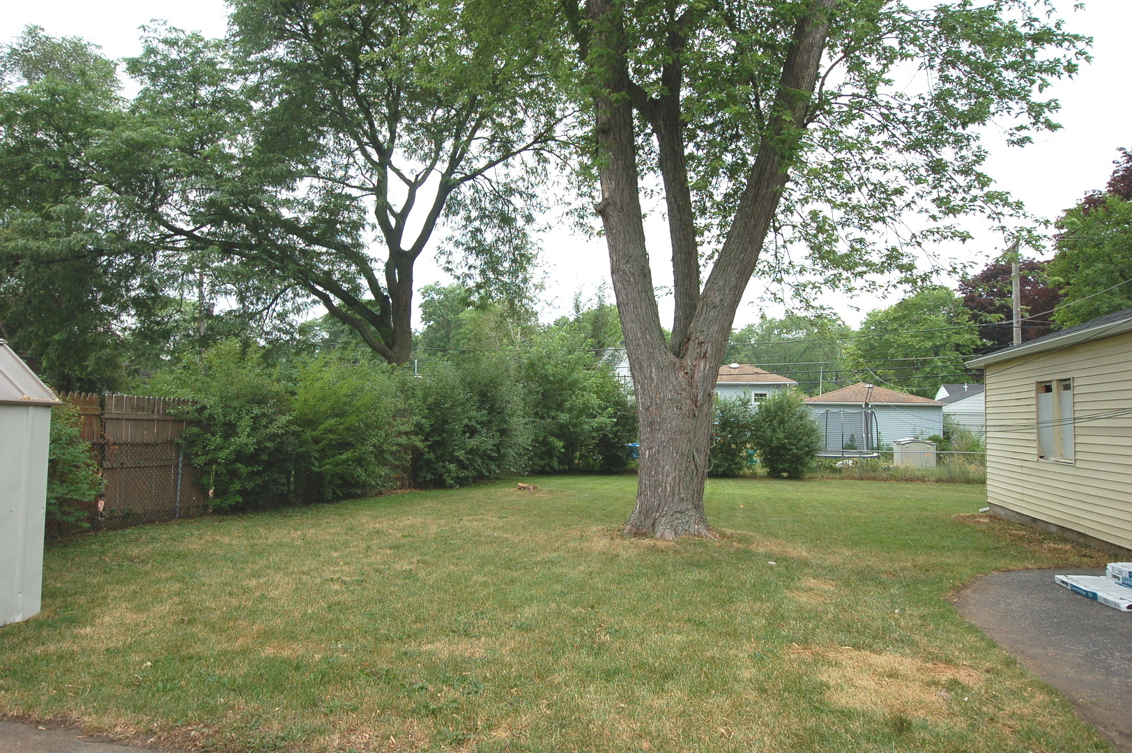 2713 Wilke Road Rolling Meadows, IL 60008 - Photo 12 of 14 a view of a trees in a yard with large trees