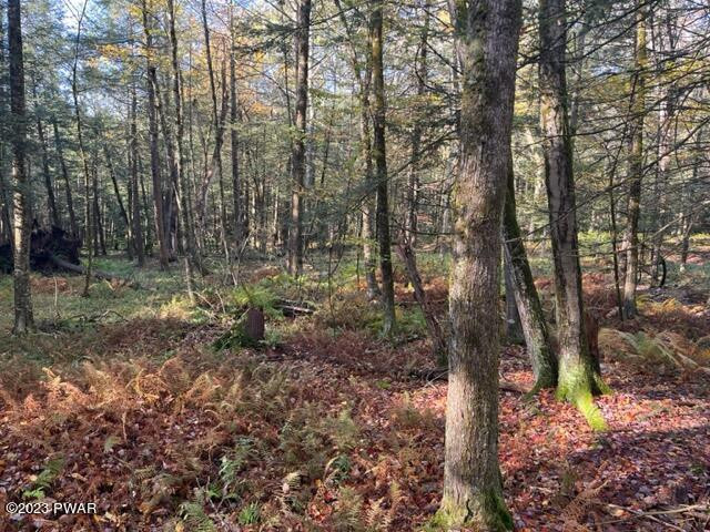 Mall Road Jeffersonville, NY 12748 - Photo 2 of 2