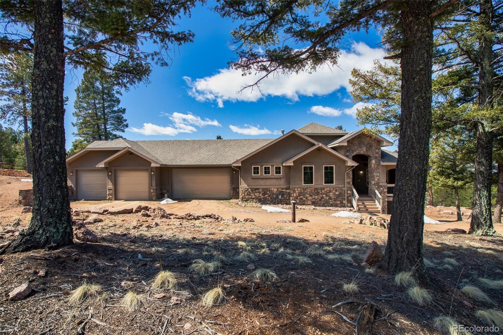 290 North Mountain Estates Road Florissant, CO 80816 - Photo 4 of 12 a view of a house with a yard covered with snow in front of house