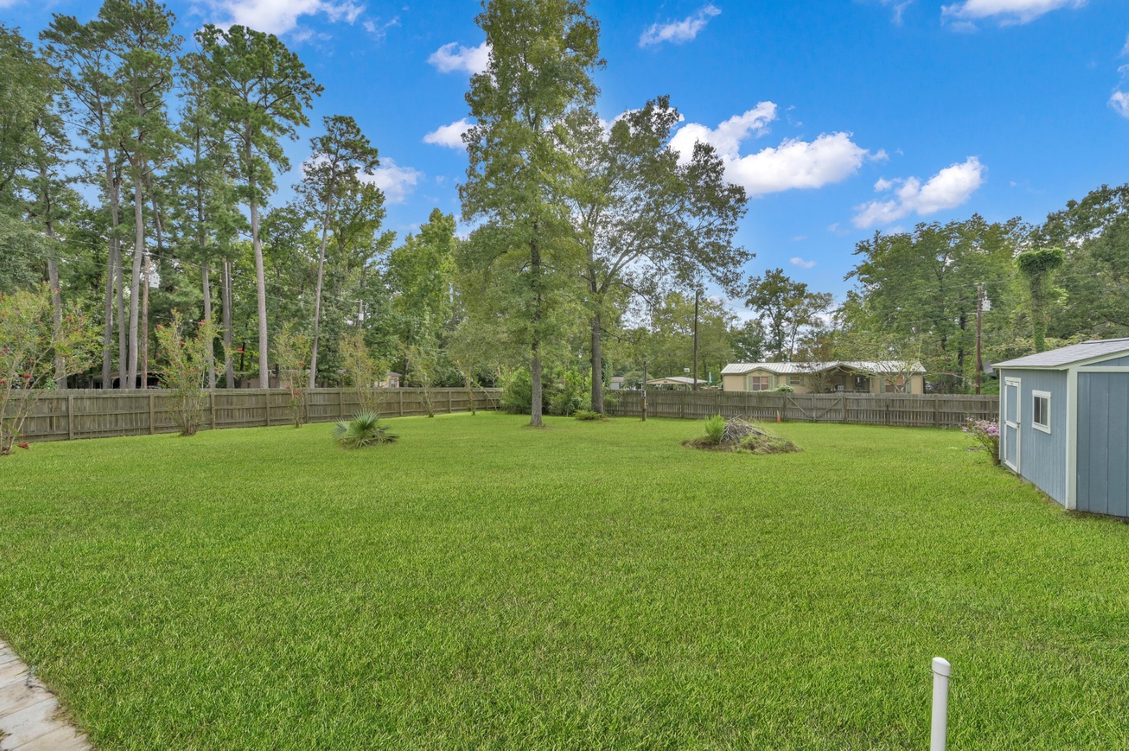 641 Red Clover Livingston, TX 77351 - Photo 31 of 50 Families have room to play soccer, football, or a game of hide and seek!
