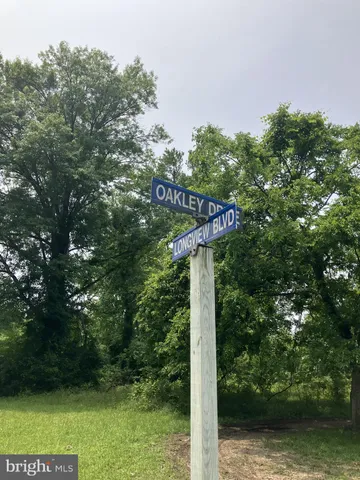 a view of a big yard with plants and large trees