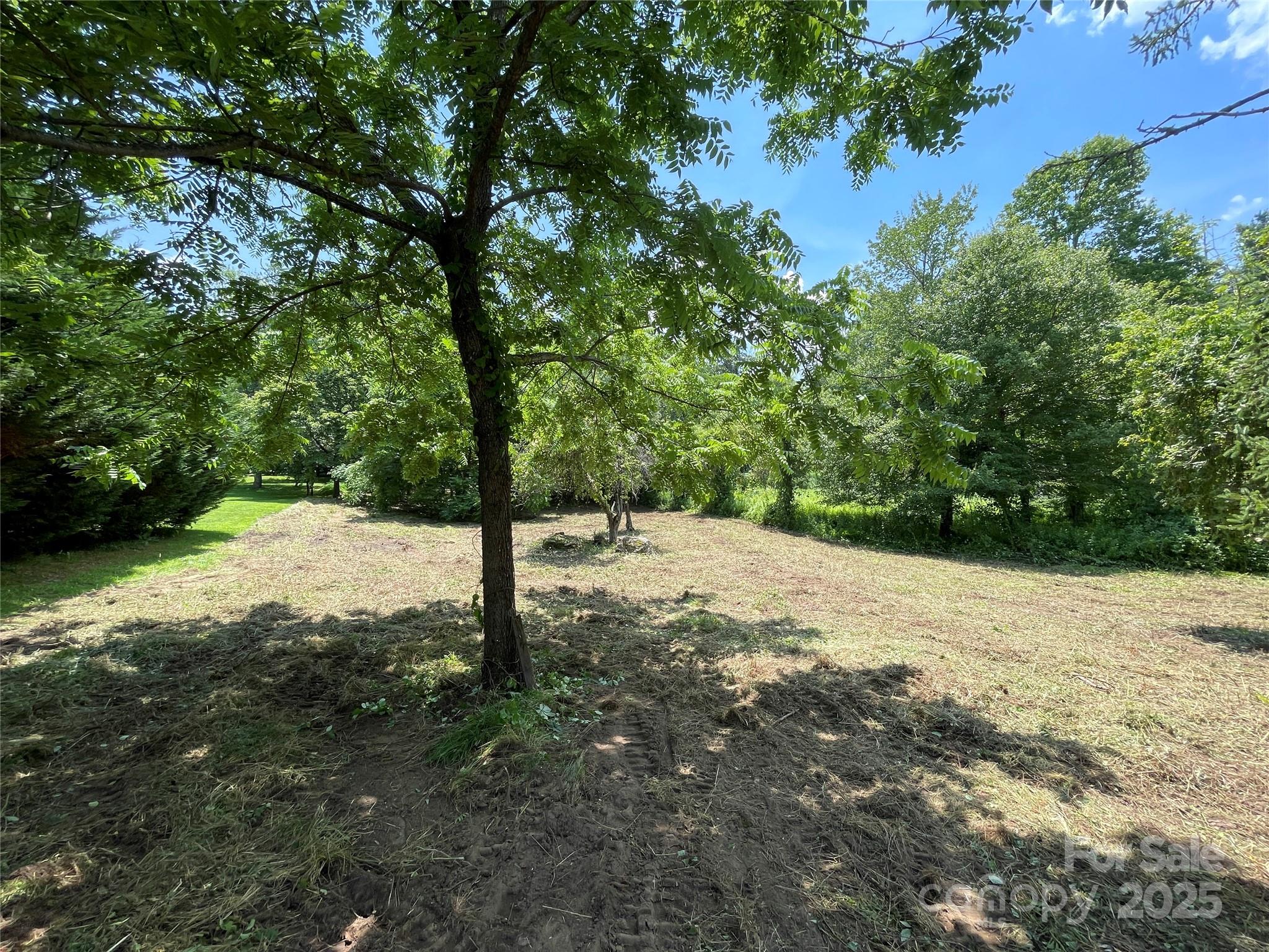 150 Founders Drive, Unit 159 Flat Rock, NC 28731 - Photo 11 of 41 a view of a yard with large trees