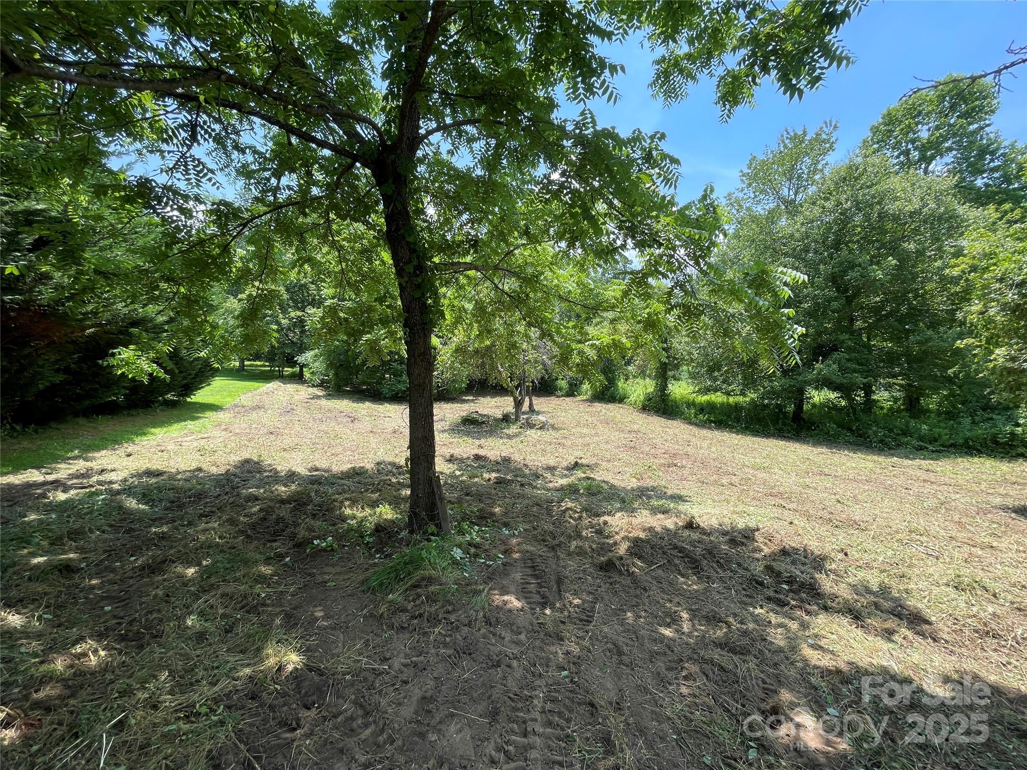 150 Founders Drive, Unit 159 Flat Rock, NC 28731 - Photo 12 of 41 a view of a yard with trees