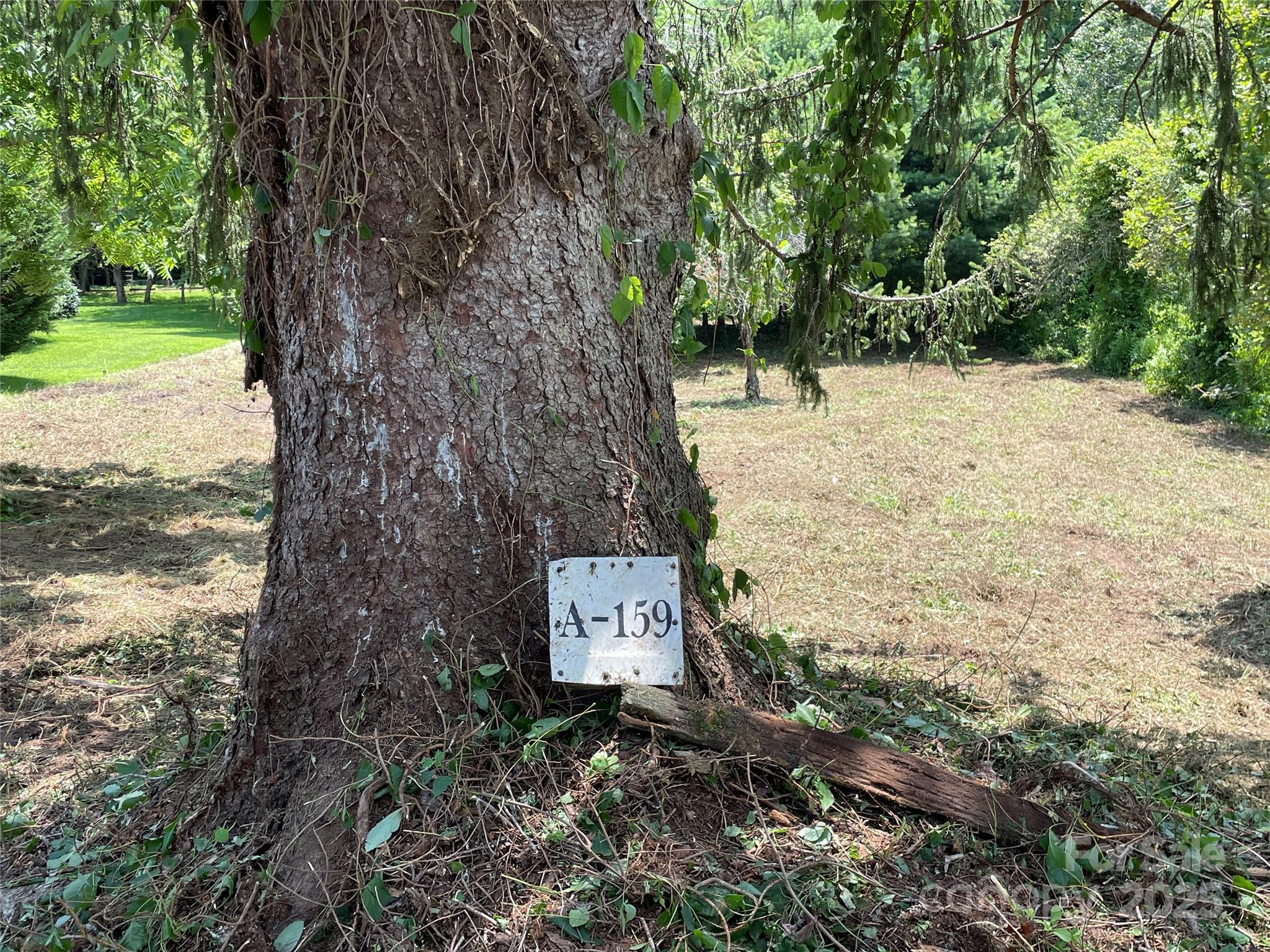 150 Founders Drive, Unit 159 Flat Rock, NC 28731 - Photo 13 of 41 a backyard of a house with large trees