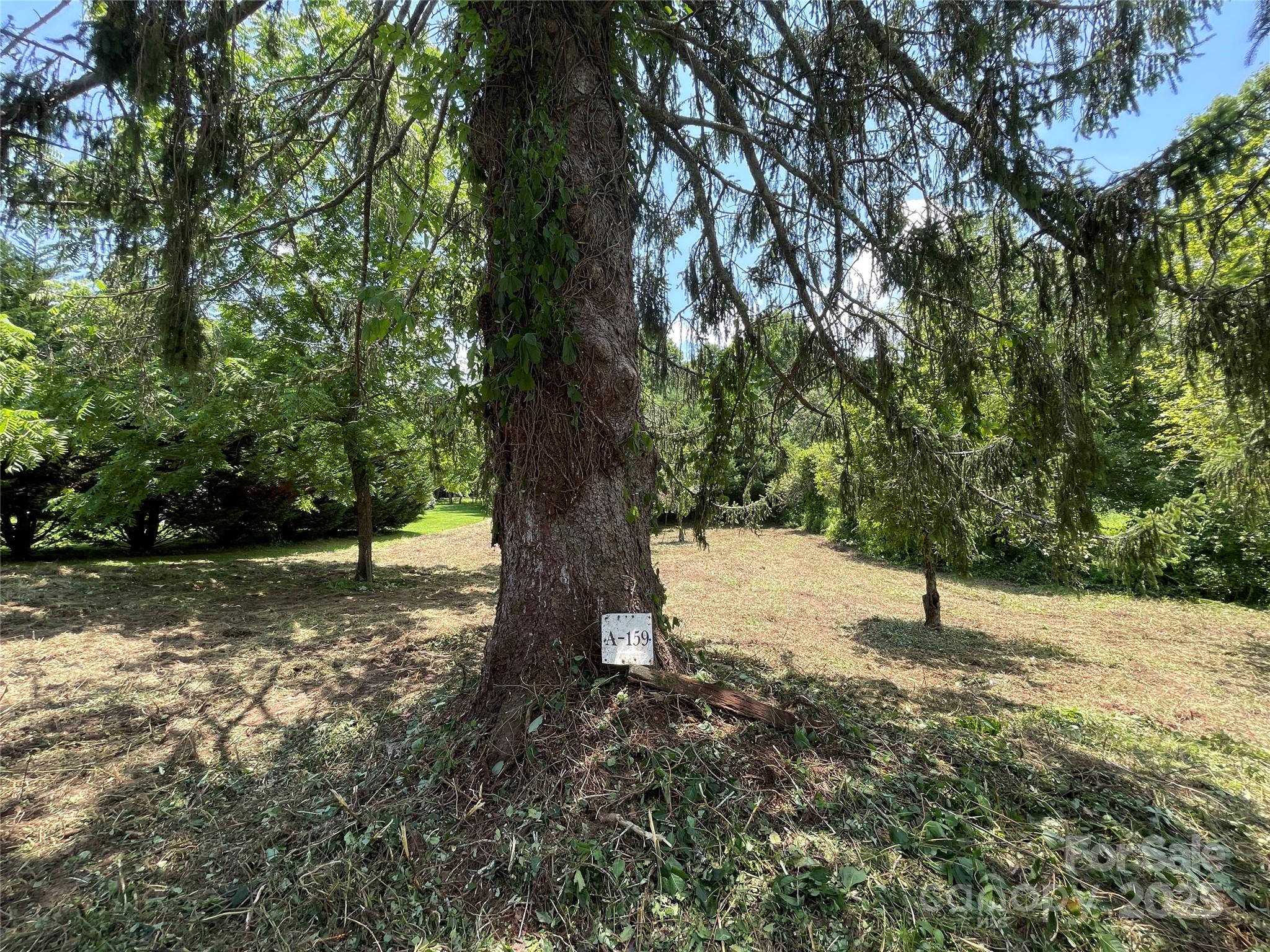 150 Founders Drive, Unit 159 Flat Rock, NC 28731 - Photo 14 of 41 a view of outdoor space with yard