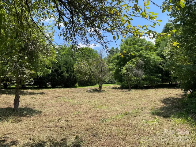 a view of empty space with trees