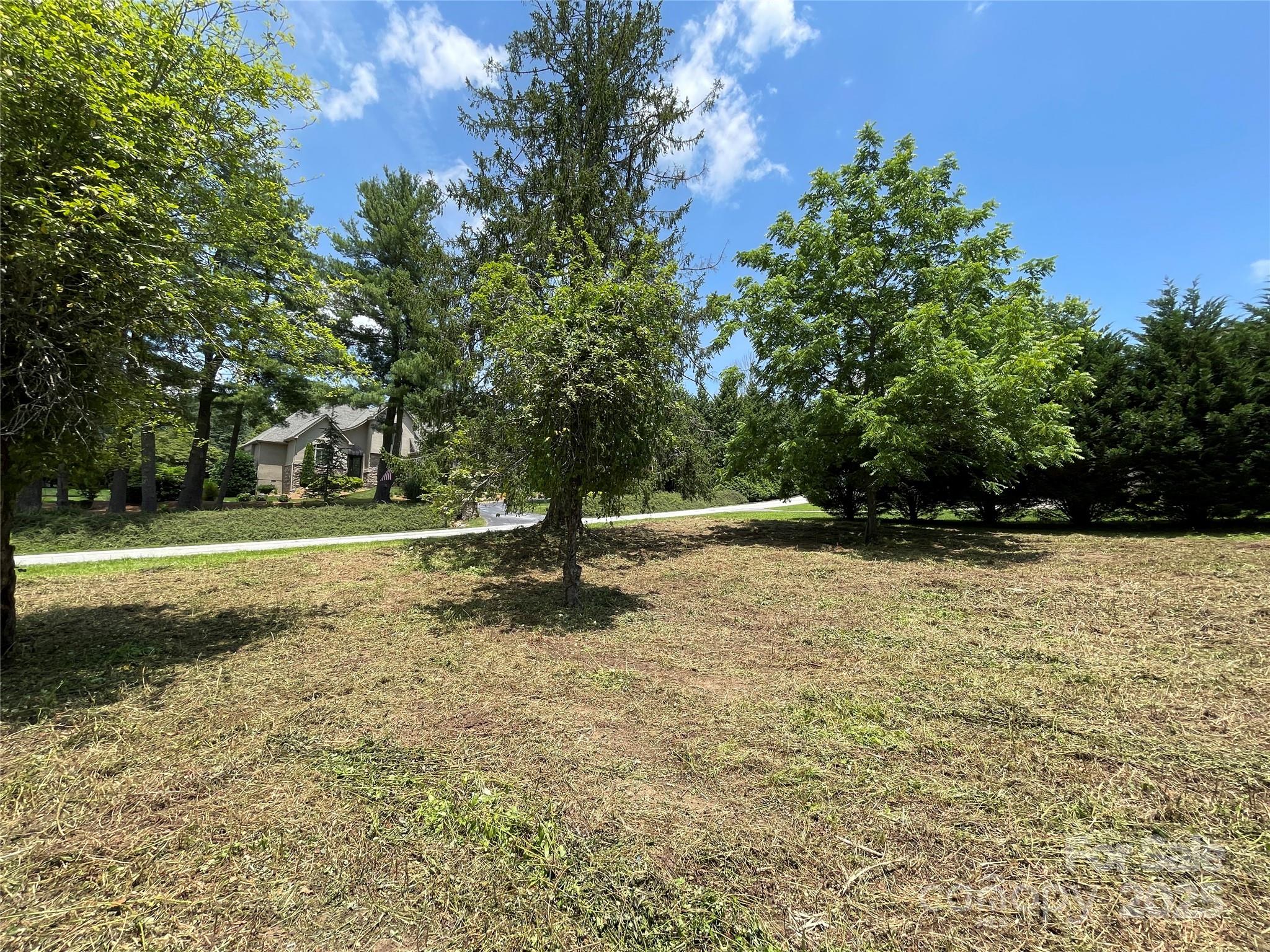 150 Founders Drive, Unit 159 Flat Rock, NC 28731 - Photo 18 of 41 a view of a tree is standing in between of a house