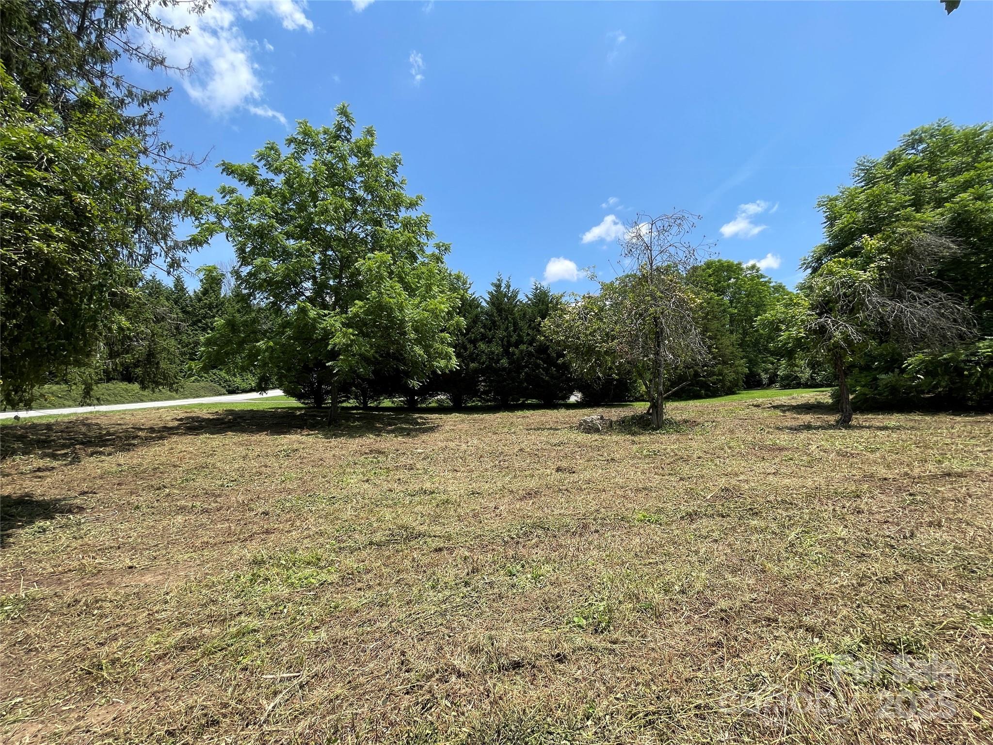 150 Founders Drive, Unit 159 Flat Rock, NC 28731 - Photo 20 of 41 a view of outdoor space with trees