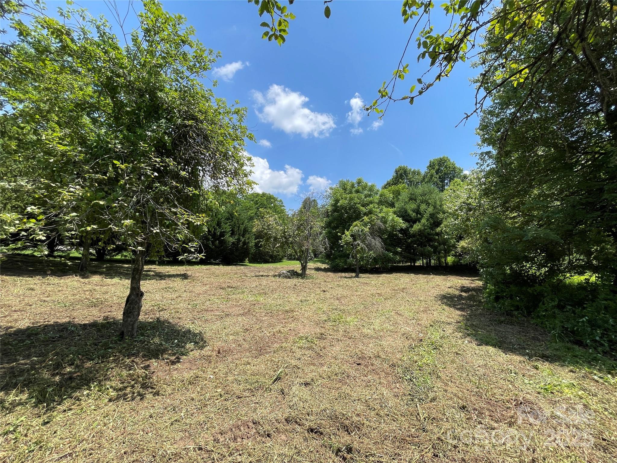 150 Founders Drive, Unit 159 Flat Rock, NC 28731 - Photo 2 of 41 a view of a yard with a tree