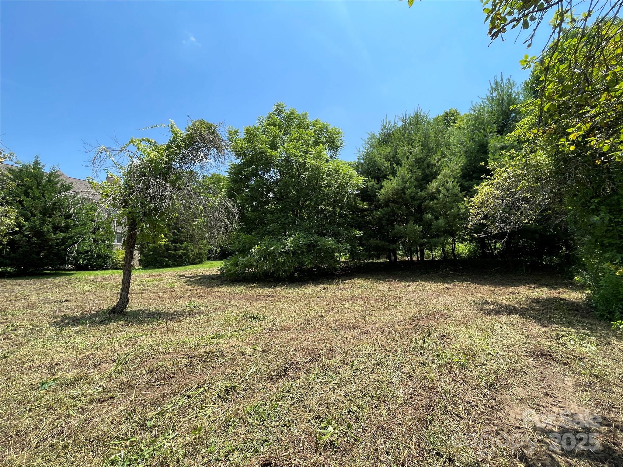 150 Founders Drive, Unit 159 Flat Rock, NC 28731 - Photo 22 of 41 a backyard of a house with lots of green space