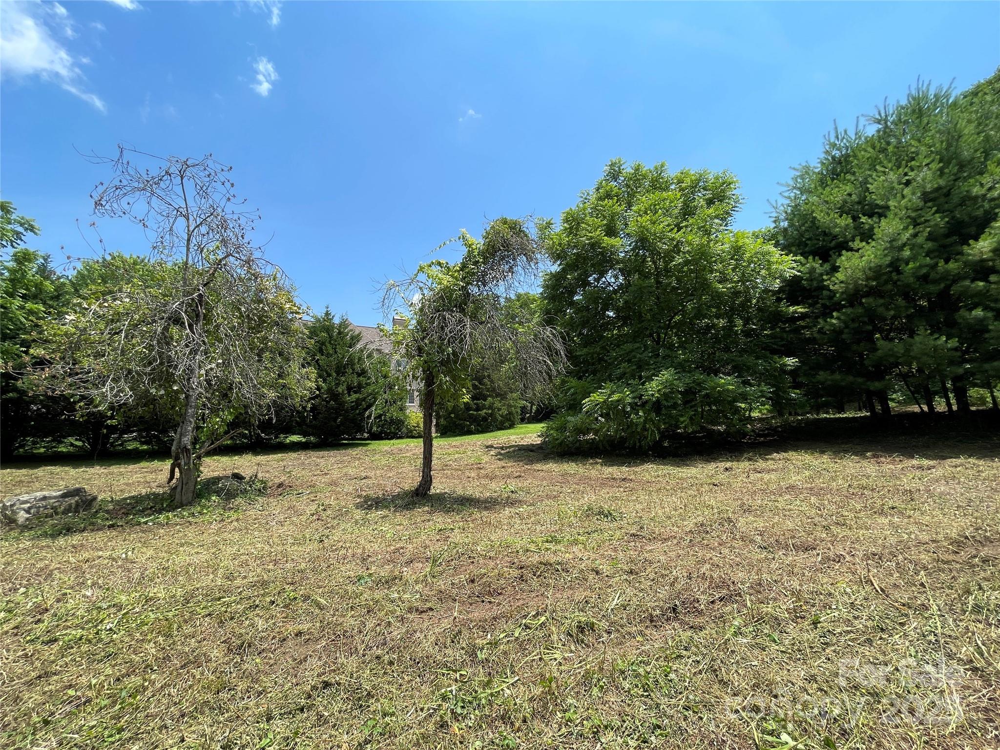 150 Founders Drive, Unit 159 Flat Rock, NC 28731 - Photo 23 of 41 a backyard of a house with lots of green space