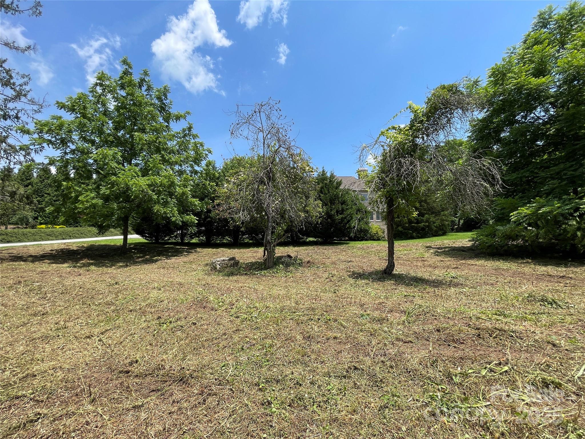 150 Founders Drive, Unit 159 Flat Rock, NC 28731 - Photo 24 of 41 a fire hydrant in the middle of a field