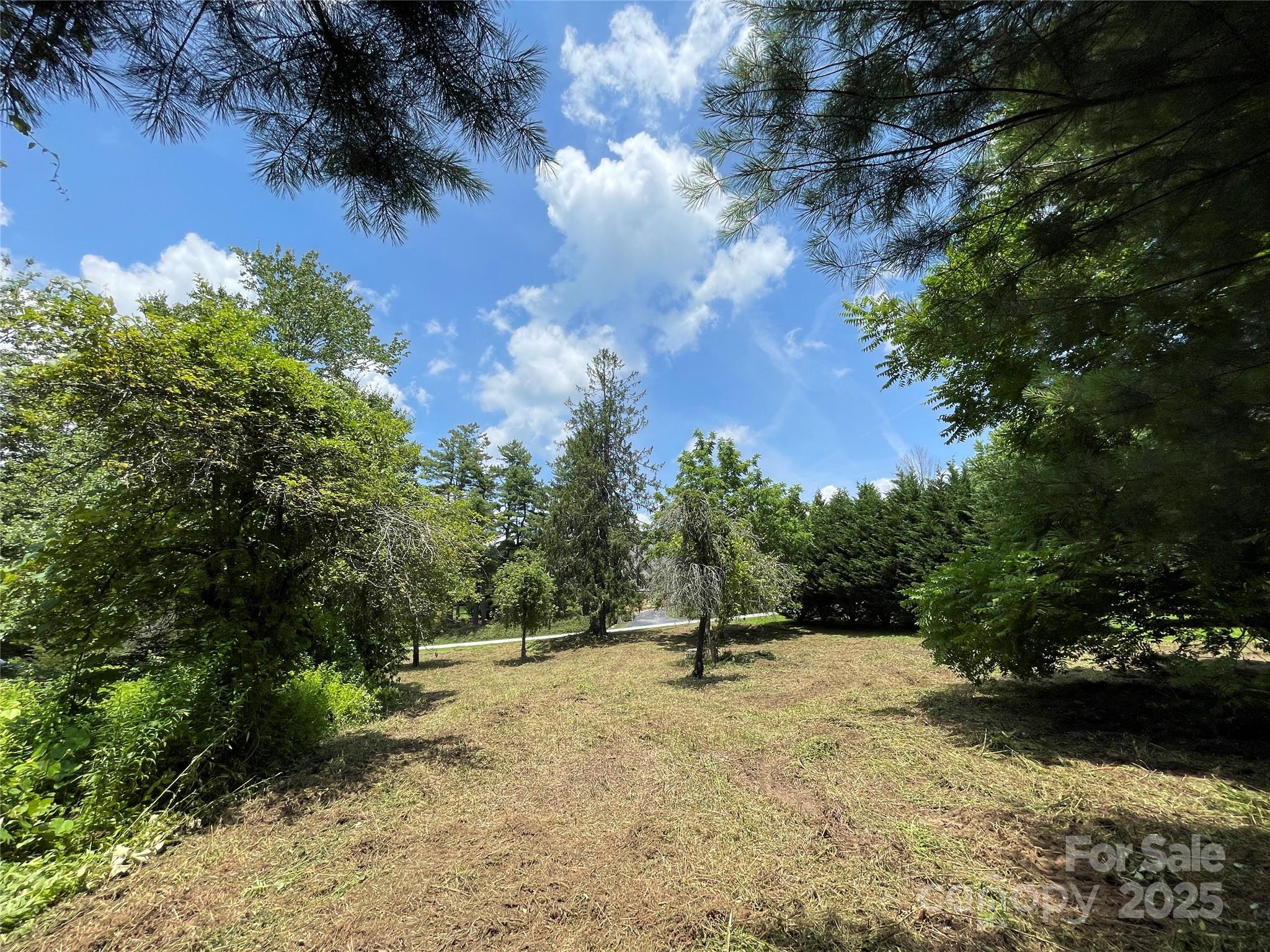 150 Founders Drive, Unit 159 Flat Rock, NC 28731 - Photo 26 of 41 a view of a tree with a yard