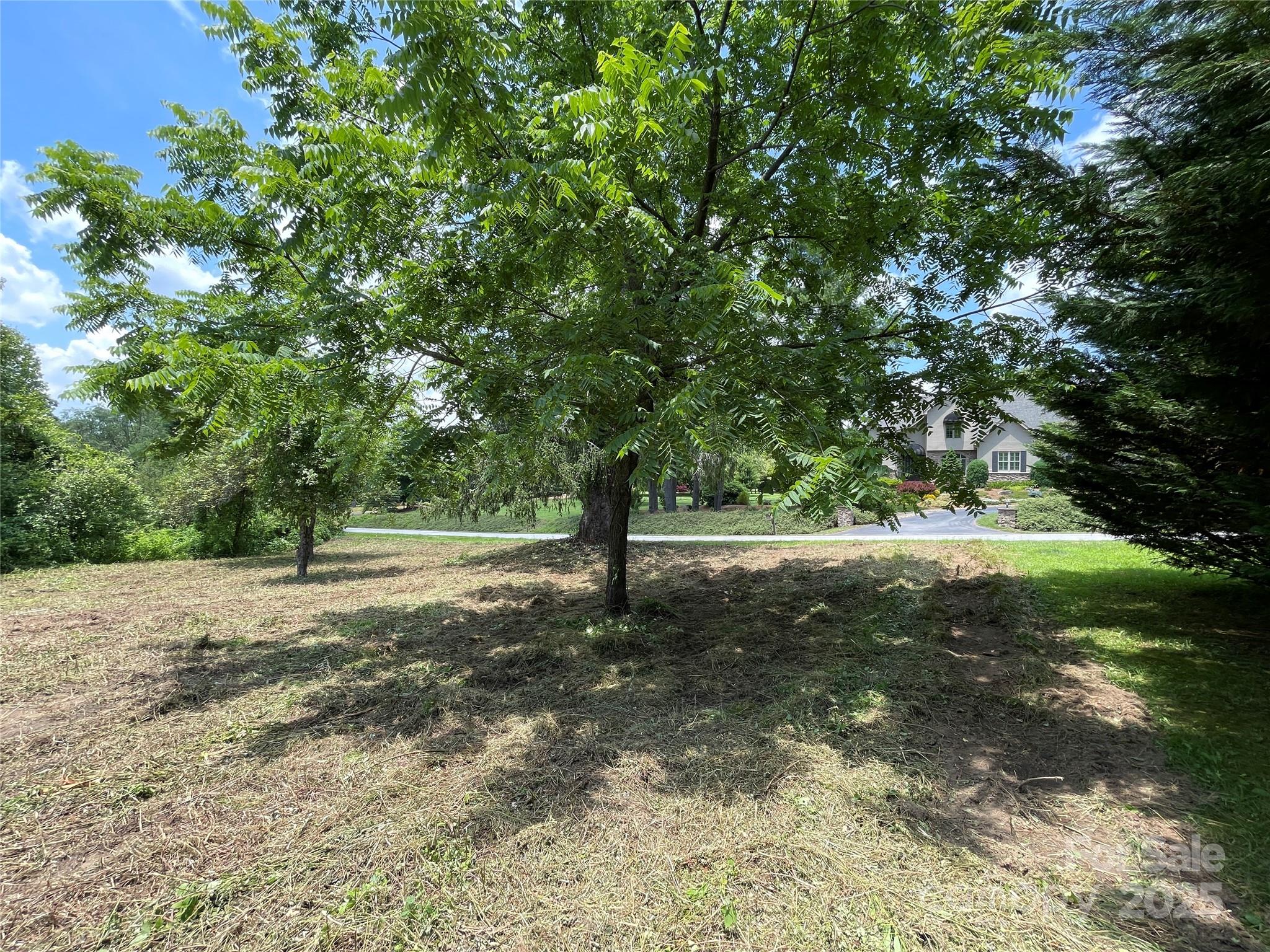 150 Founders Drive, Unit 159 Flat Rock, NC 28731 - Photo 28 of 41 a view of a yard with plants and trees