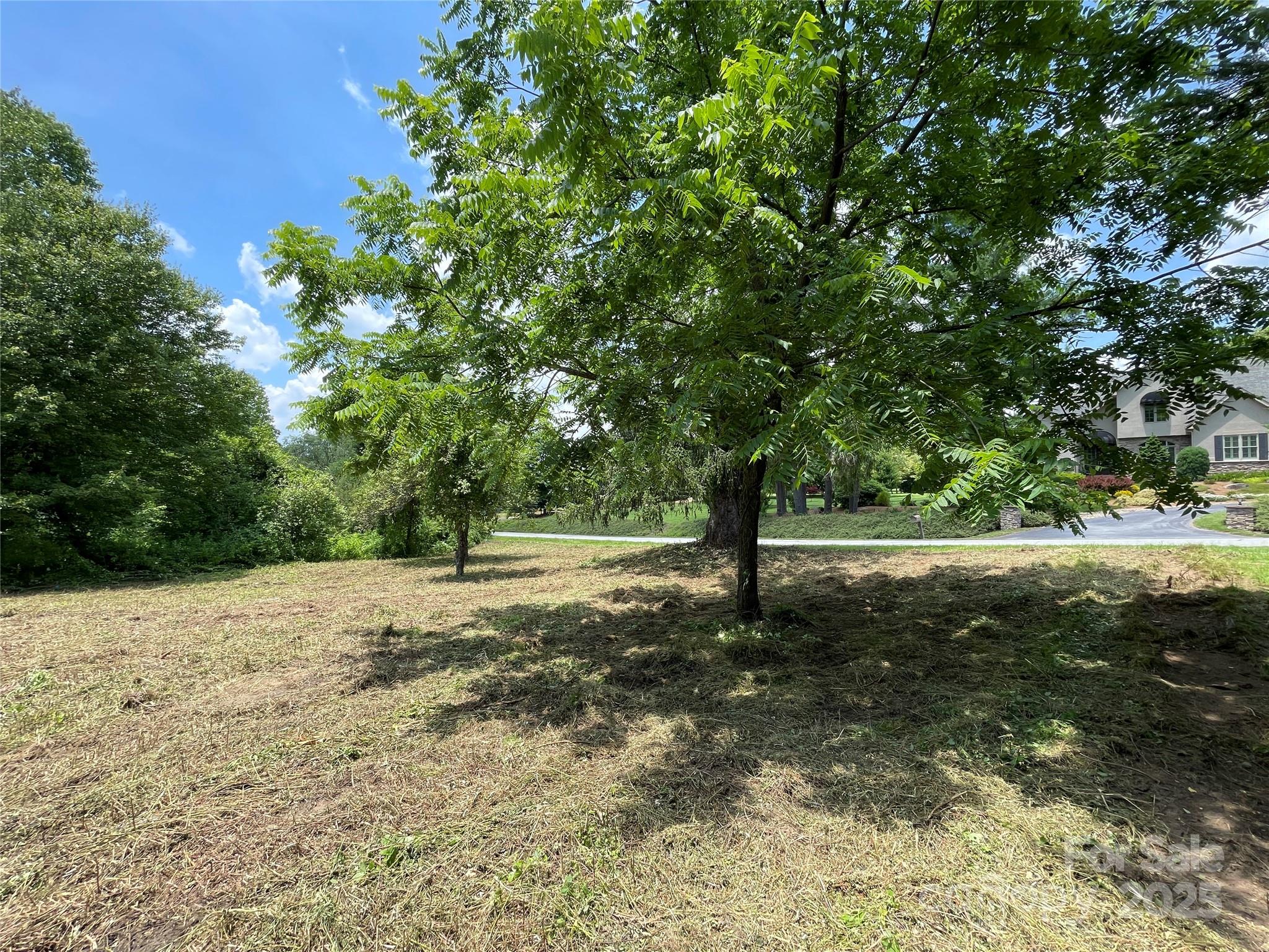 150 Founders Drive, Unit 159 Flat Rock, NC 28731 - Photo 29 of 41 a view of backyard with green space